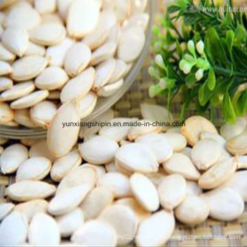 Snow White Pumpkin Seeds Supplier